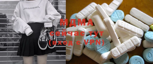 гашик Няндома
