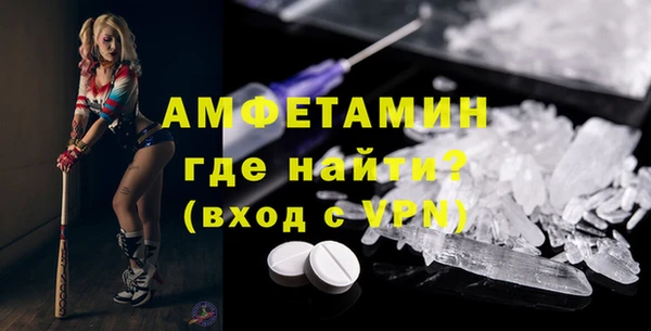гашик Няндома