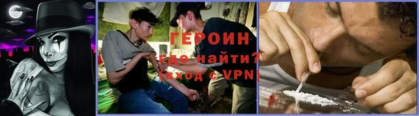 гашик Няндома