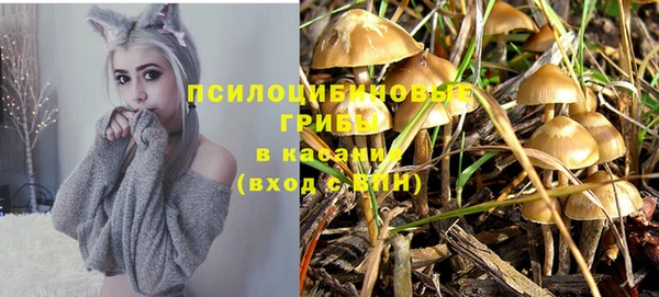 гашик Няндома