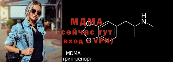 гашик Няндома