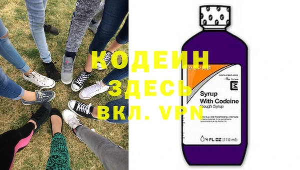 гашик Няндома