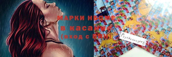 гашик Няндома