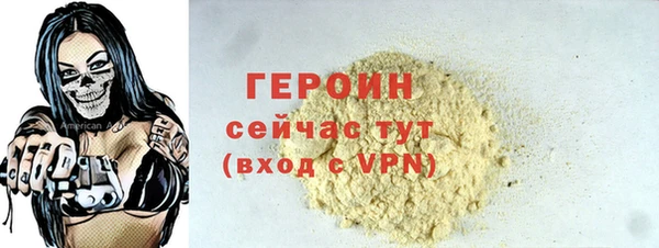 гашик Няндома