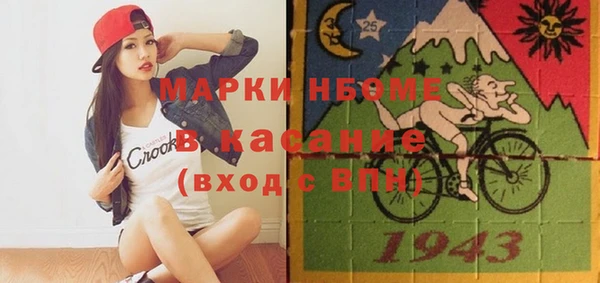 гашик Няндома