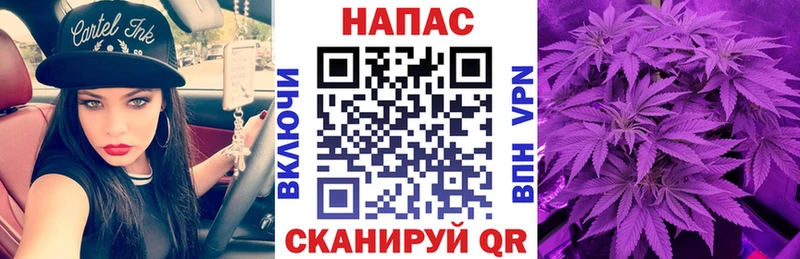 Купить закладки  Инсар  Бошки марихуана план 